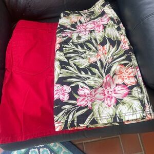 Floral and Red Skirt Set